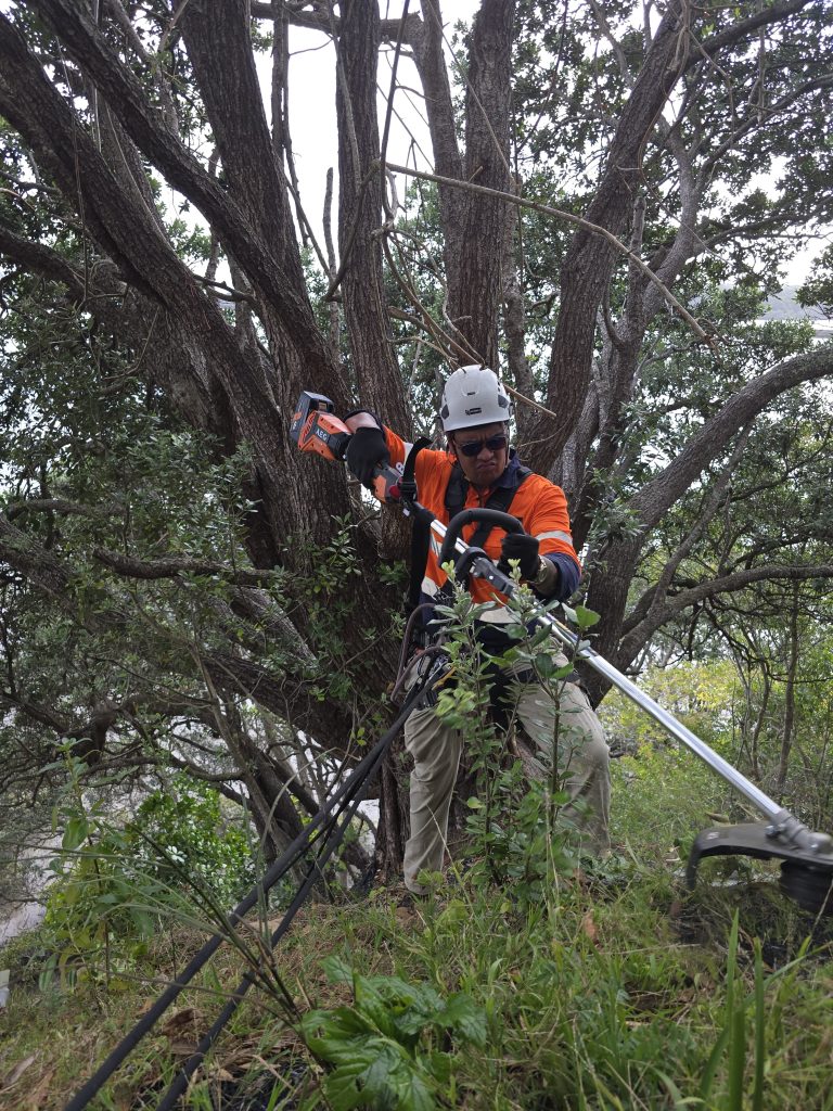Cliff and Bank Maintenance